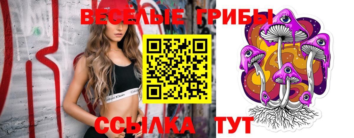 Гагарин  Псилоцибиновые грибы Cubensis  Вход с VPN 